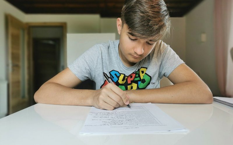 Alejandra Koch-Pixabay